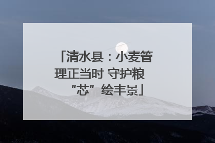 清水县：小麦管理正当时 守护粮“芯”绘丰景